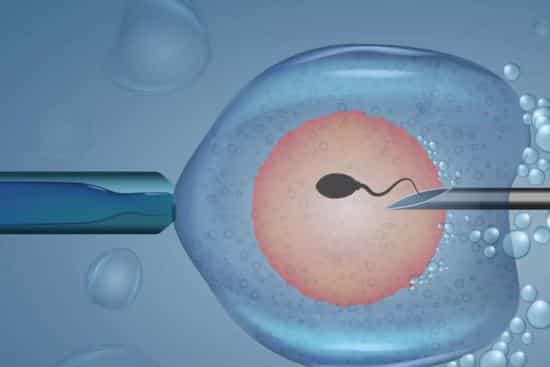 Yaşa Göre Mikroenjeksiyon (ICSI) Başarı Oranları