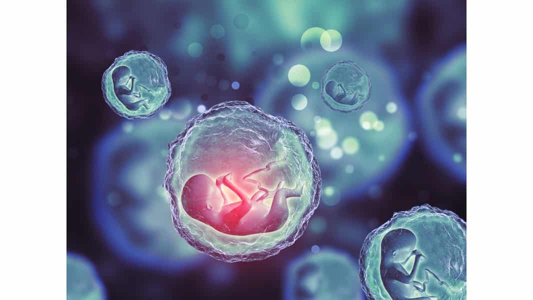 Embriyo Dondurma ve Tüp Bebek: Çiftler İçin Avantajlar ve Fırsatlar