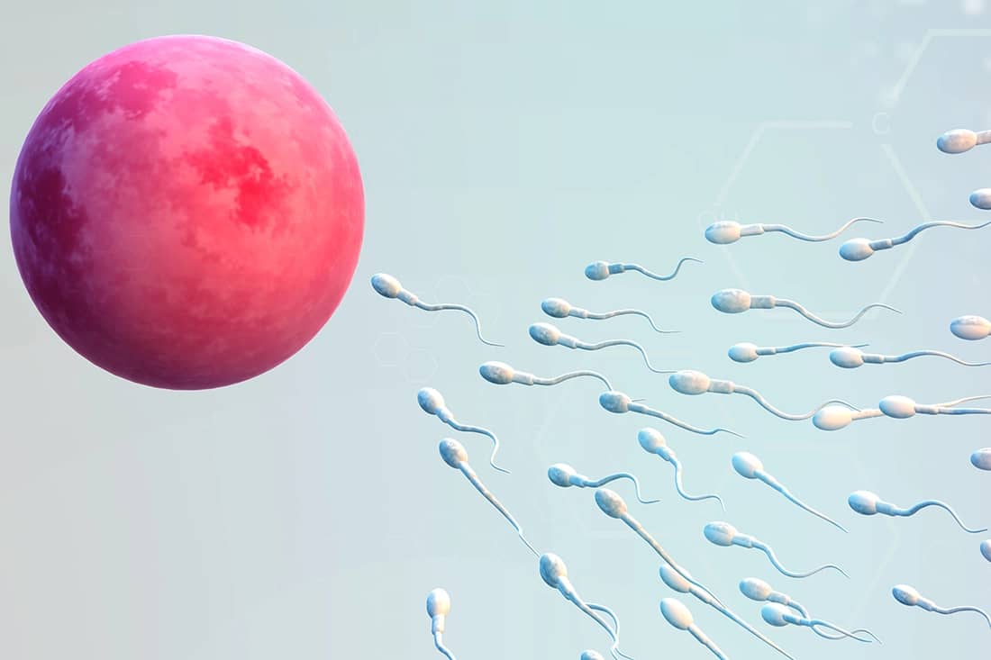 Türkiye'de Mikroenjeksiyon Maliyeti 2026: Fiyatı Belirleyen Faktörler