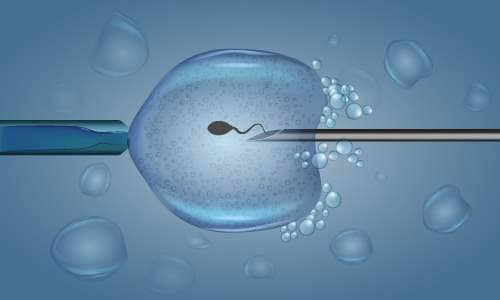 Mikroenjeksiyon Öncesi Analizler: Neden İşlem Başarısı İçin Gerekli?