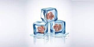 Modern Yumurta Dondurma Teknikleri: Gelecekte Hamile Kalma Şansını Artırmak İçin Bir Seçenek