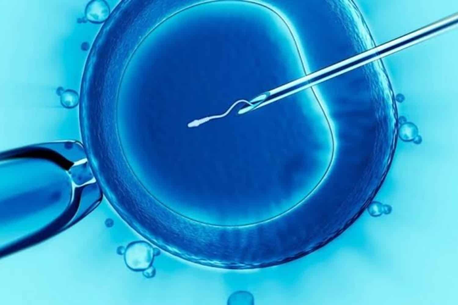 Mikroenjeksiyon Başarı Adımları: Doğurganlık Uzmanlarından İpuçları