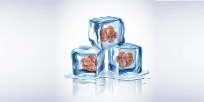 Yumurtaların Dondurulması ile Tüp Bebek Tedavisi: Aşamaları