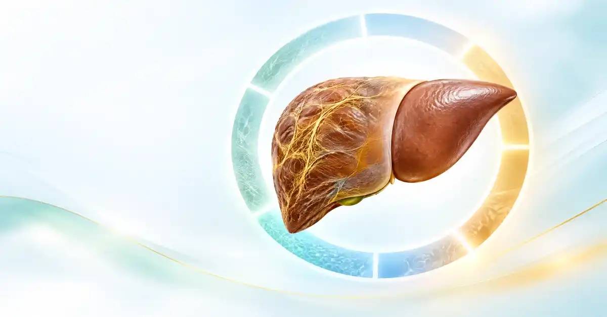 Cirrhosis: Stages, Symptoms and Modern Treatment